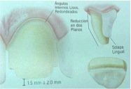 imagen7