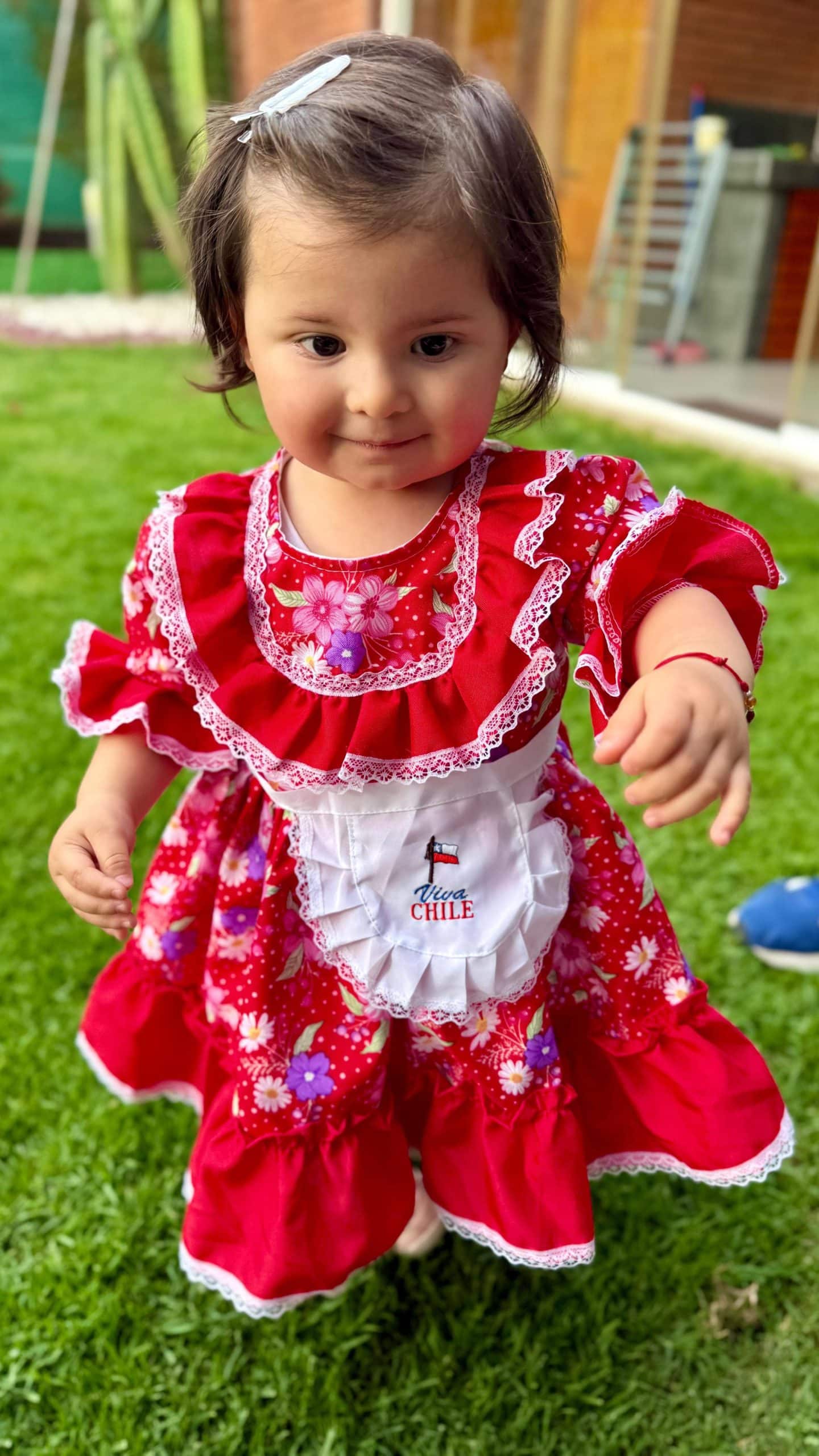 Magnolia vestida de huasita para celebrar las Fiestas Patrias